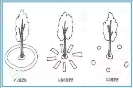 u=2764123370,2934079613&amp;fm=23&amp;gp=0.jpg
