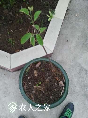 20170502_190456.jpg