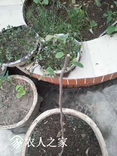 20170502_190526.jpg