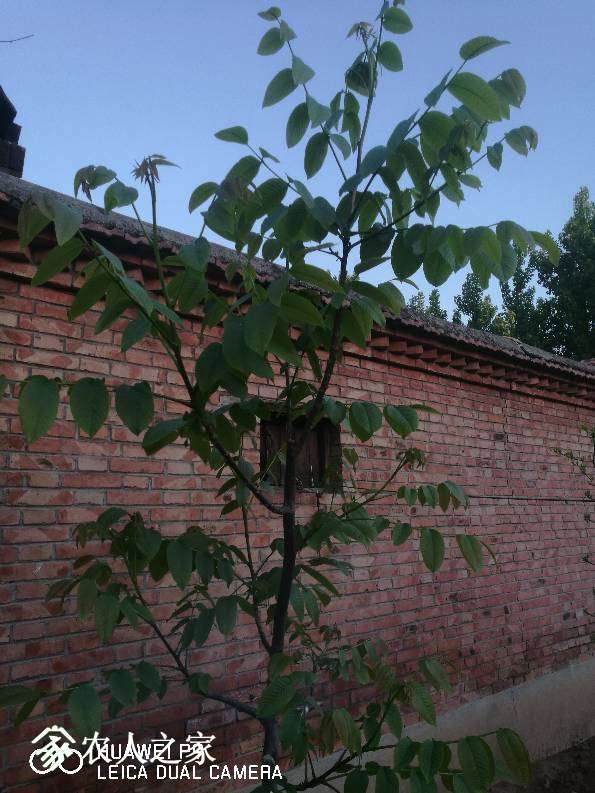 140916edzifcisddhizvs6.jpg