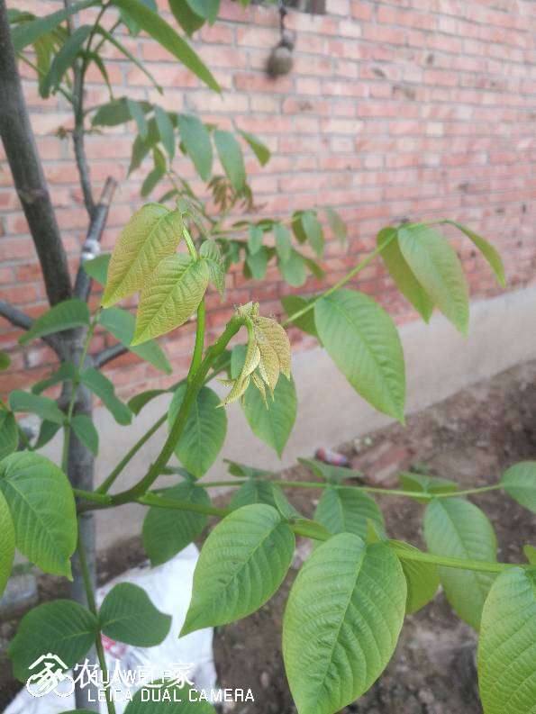 140916nqvbmmqmabmmyq65.jpg