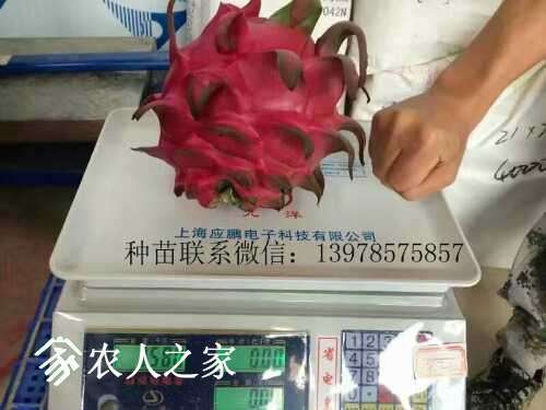 mmexport1481019880366 