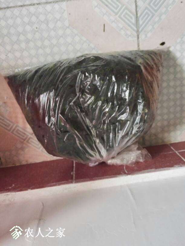 083445jbszst7dbbds8vgu.jpg