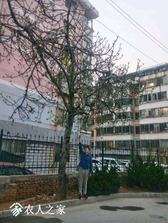 173450v5miij5iu3imcjrr.jpg
