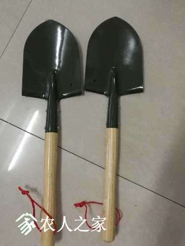 IMG_20170425_172501.jpg