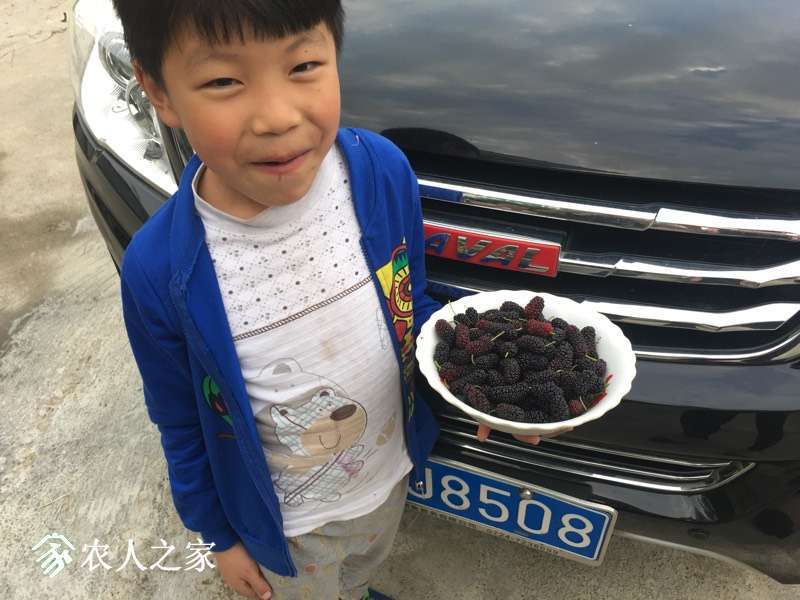 215009rz2p41eve8gu888z.jpg