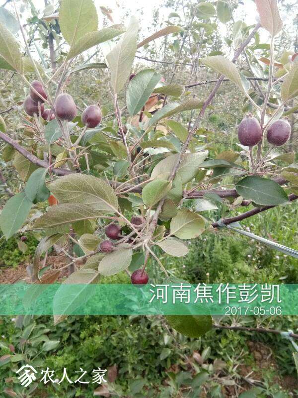103014lgii55p2nepe52xw.jpg