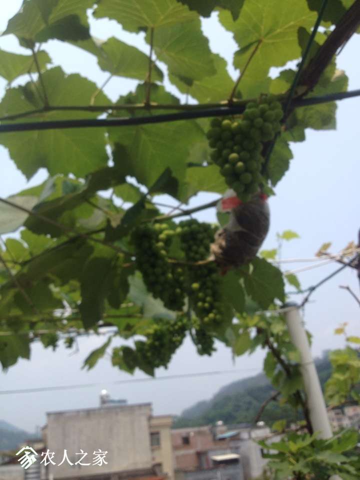 132449mr1w9f9rzyp3qeyu.jpg