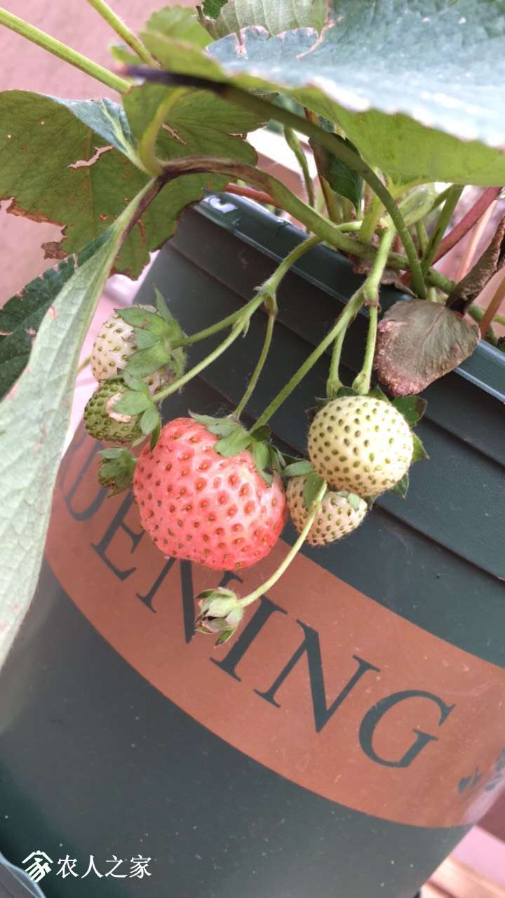 190552mfmwwoof6wnwwmsn.jpg