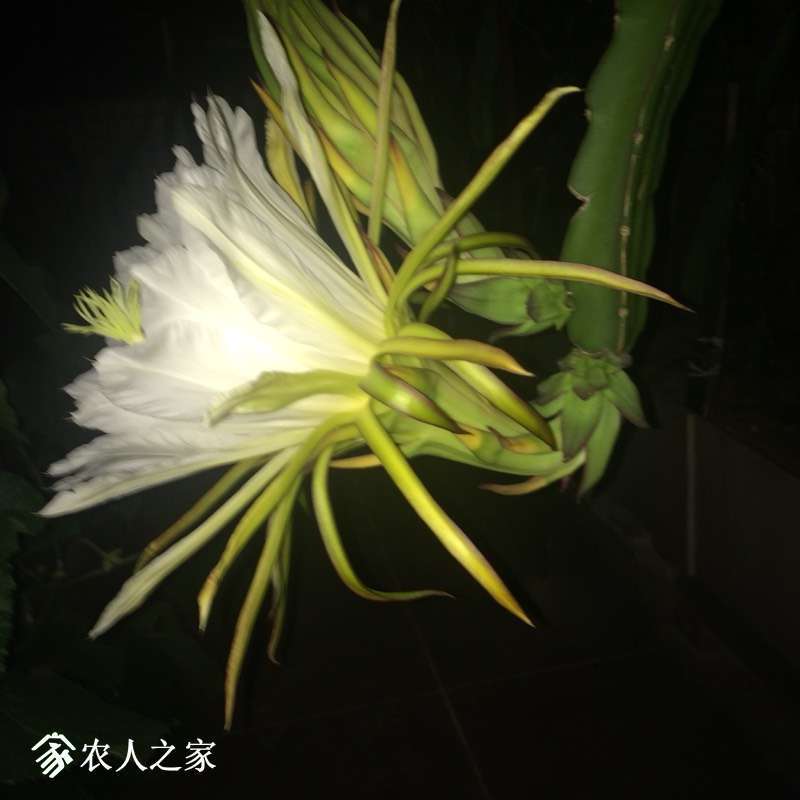 012406trfnepaxa6ffz1rj.jpg