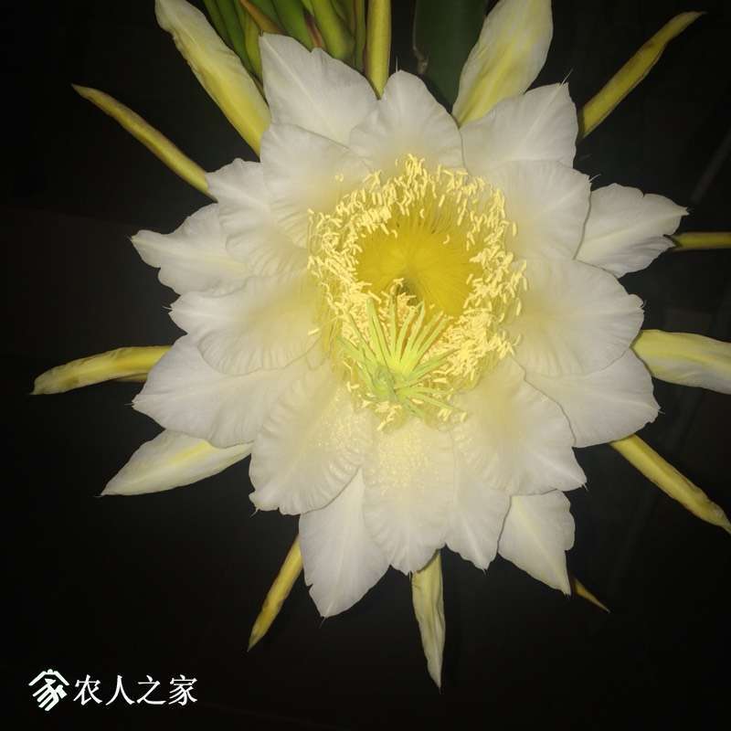 012407cm53659b49gx4fvu.jpg