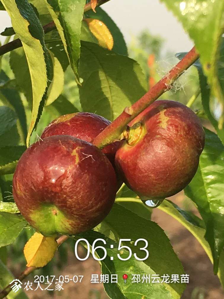 075508gbbcdb3ccbwvc3zv.jpg