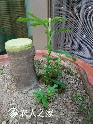 20170505_221921.jpg