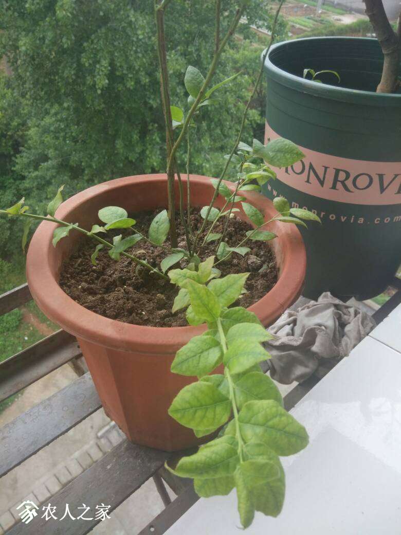 134323gyo07y466ao44tf0.jpg