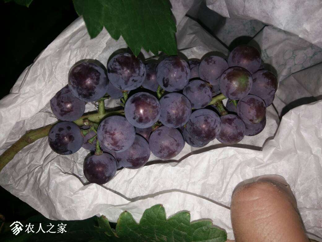 154453pzi70r7urx9frpfi.jpg