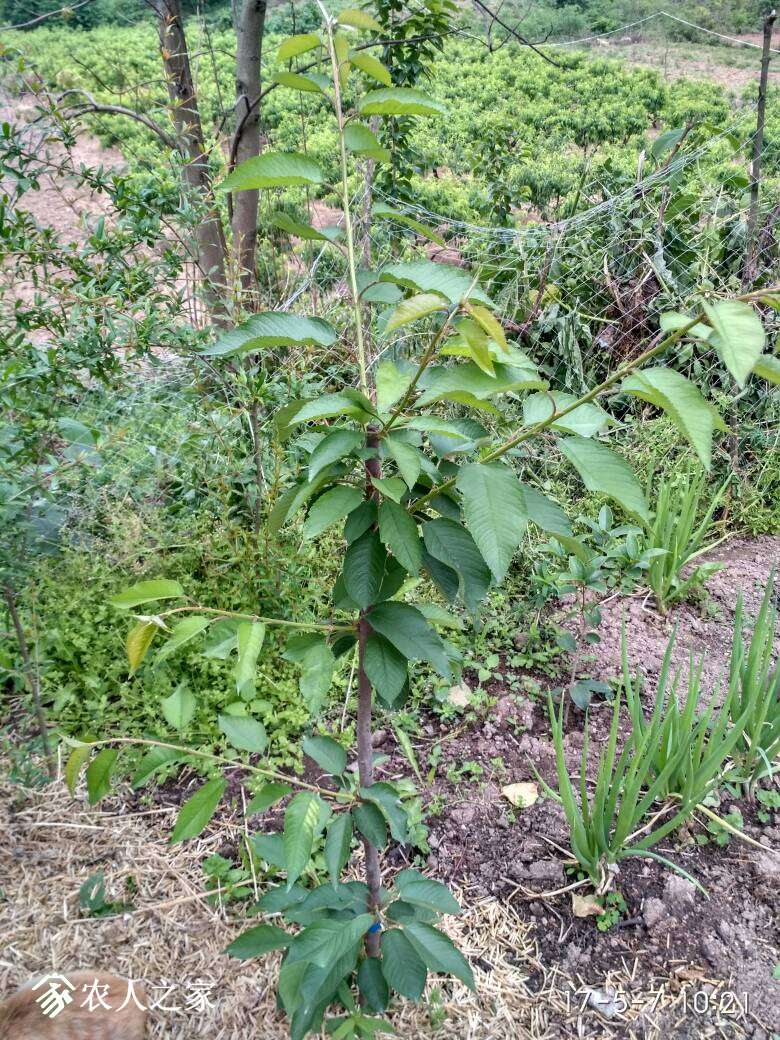 201256jkhmrtqddmc5klkf.jpg
