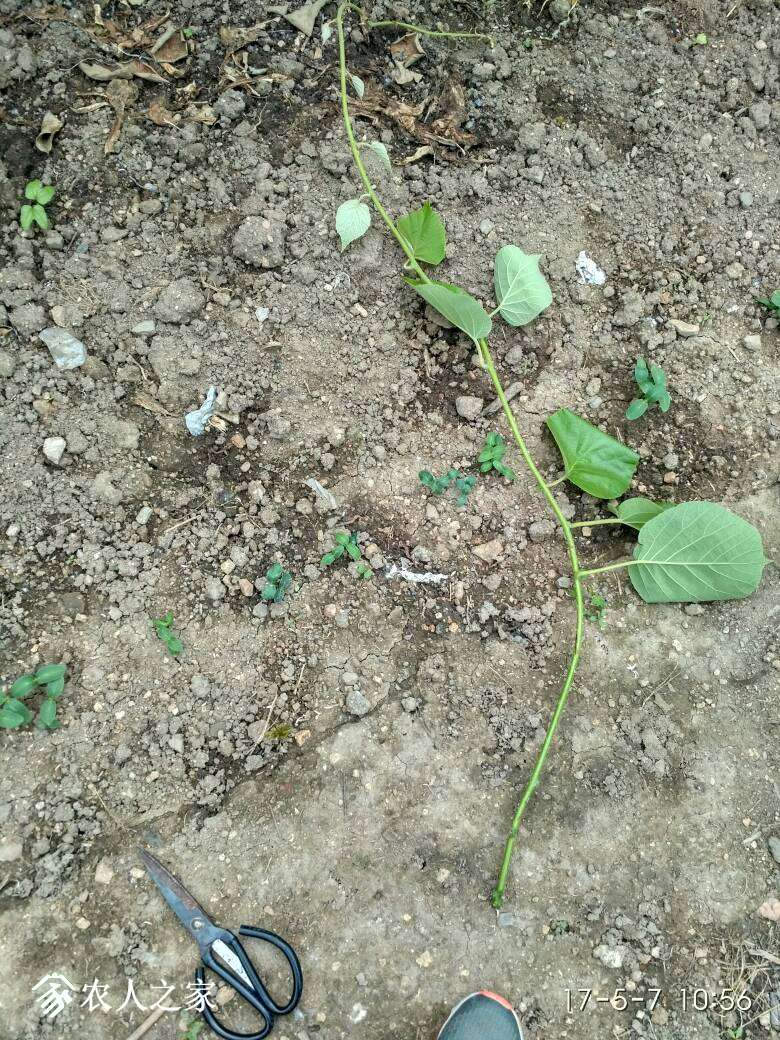 201503qrpqdps646cluu46.jpg