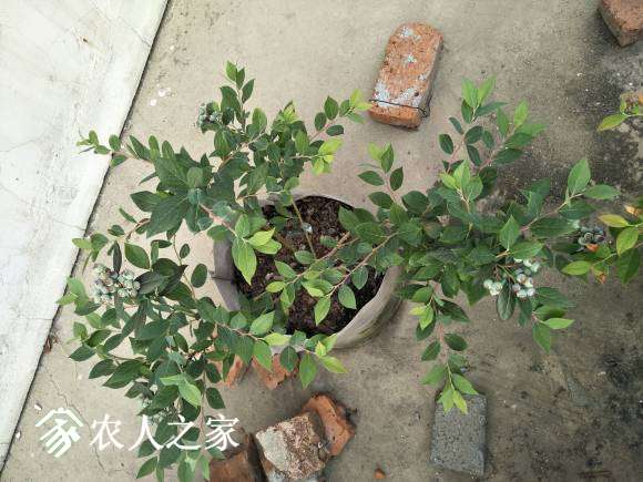 IMG20170507164247.jpg