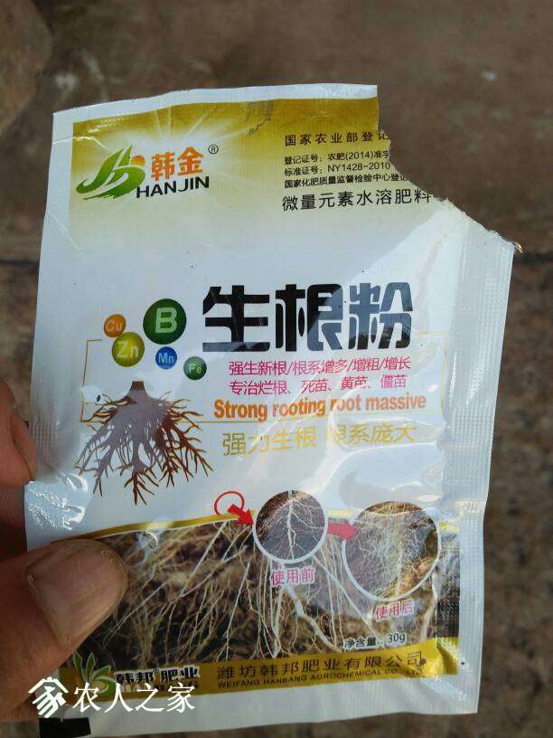 121528grcitaqutd6xo6gd.jpg