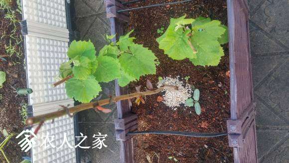 QQͼƬ20170508130255.jpg