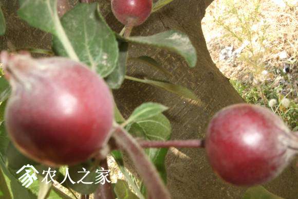 ˹ 017.jpg