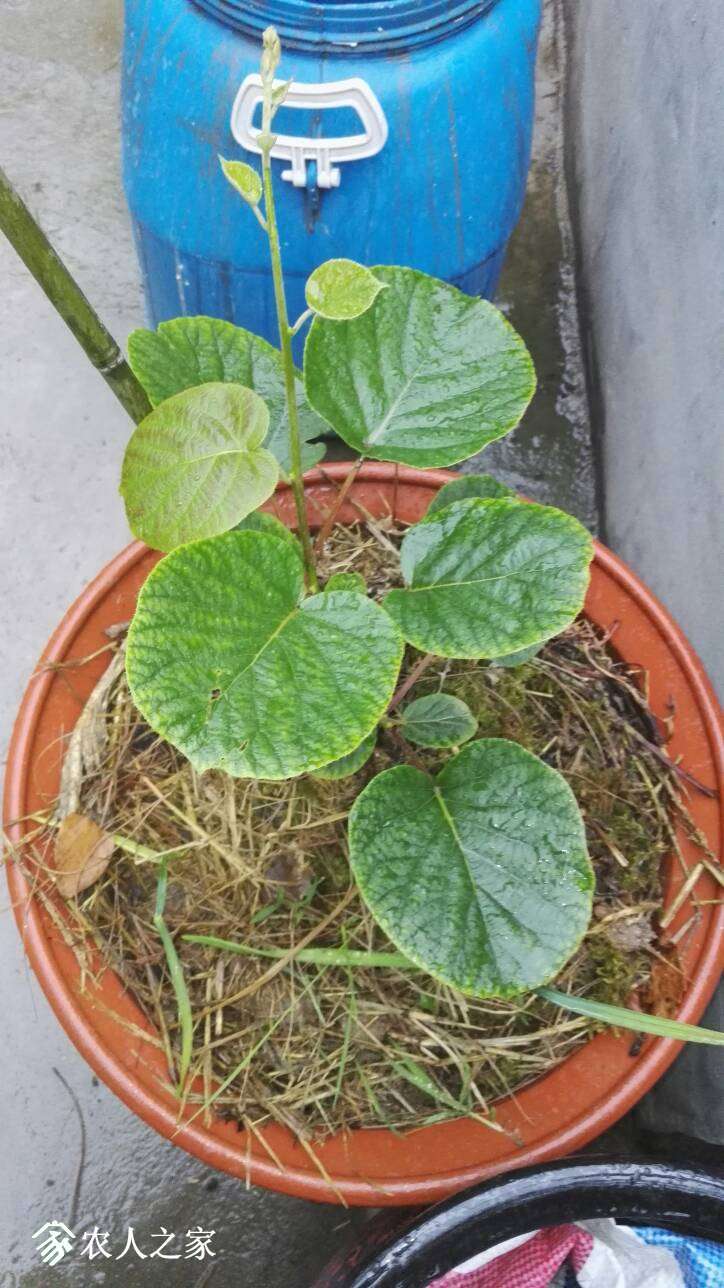 144928gtutcodtuiaoobyo.jpg