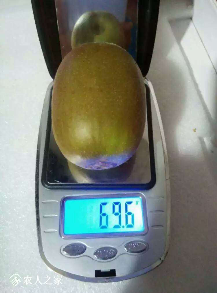 182655l2zwg1nza70y2gly.jpeg
