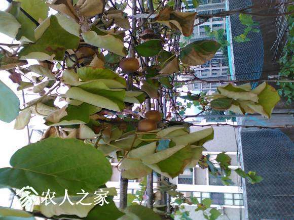 IMG_20160731_183930.jpg