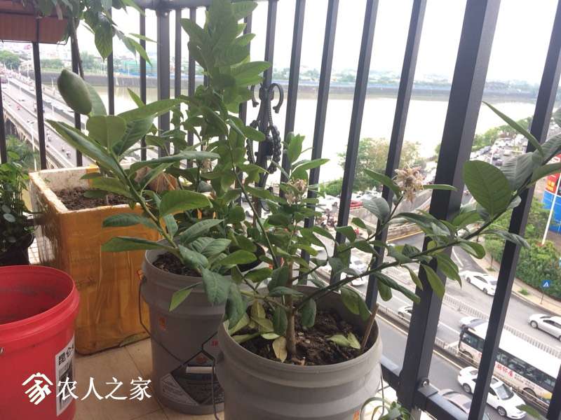 081653wtagewheao21htzs.jpg