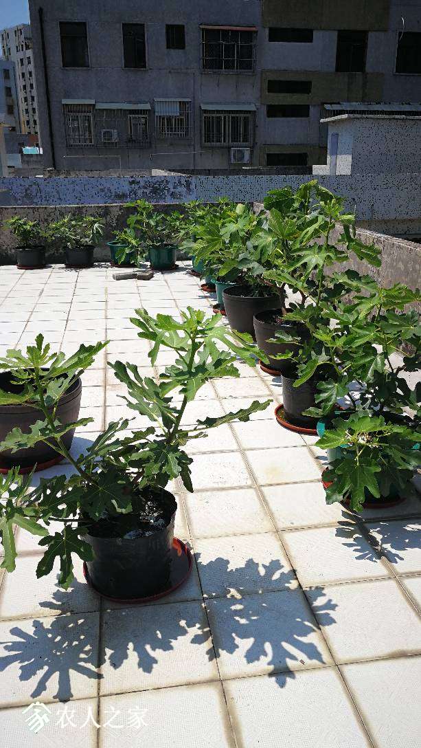 125645ltptpi4boil24bh4.jpg