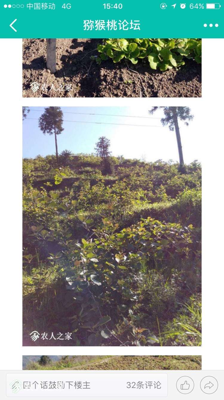 154216l9z1azn5vs1zs4z1.jpg