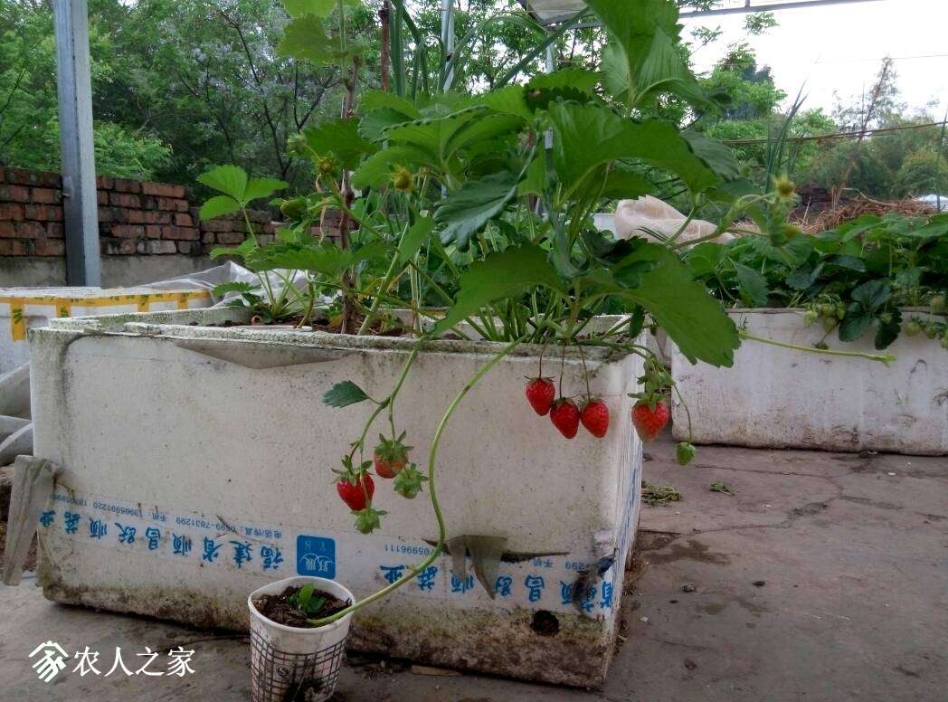 163435l50dnznjyojdwf09.jpg