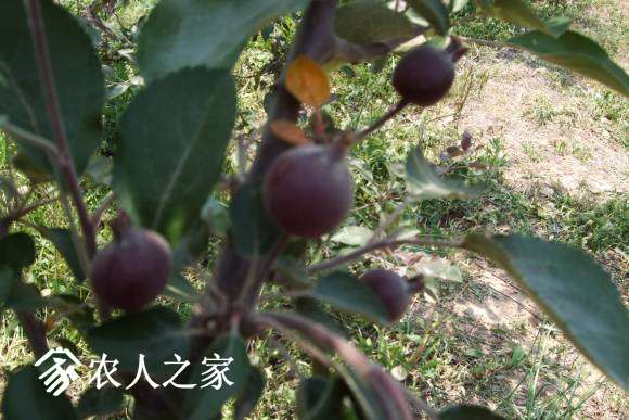 ˹ 027.jpg