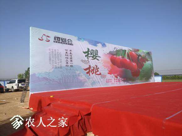083501z2fzs122itf1n10t.jpg