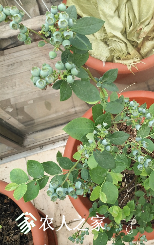 IMG_20170510_105706.png