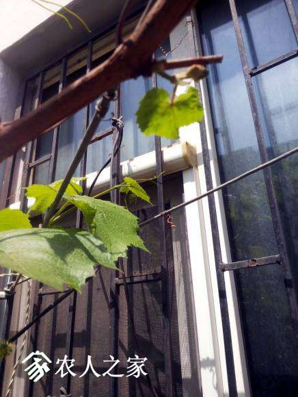 20170510_123005.jpg