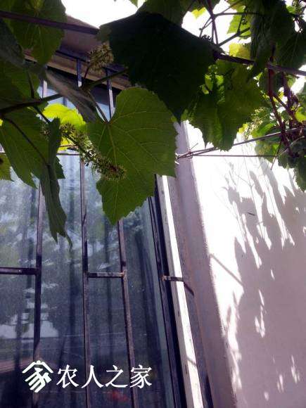 20170510_122934.jpg