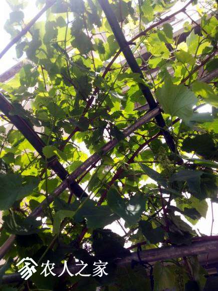 20170510_123018.jpg