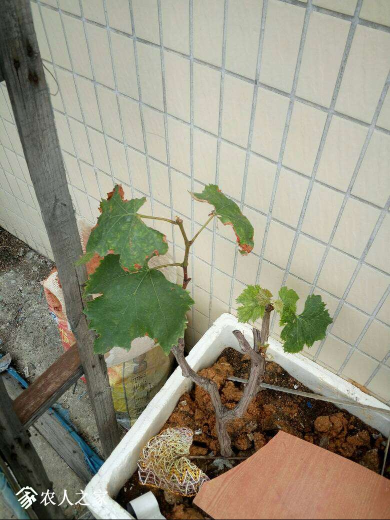 132023wjpwdy5mdmkkysff.jpg