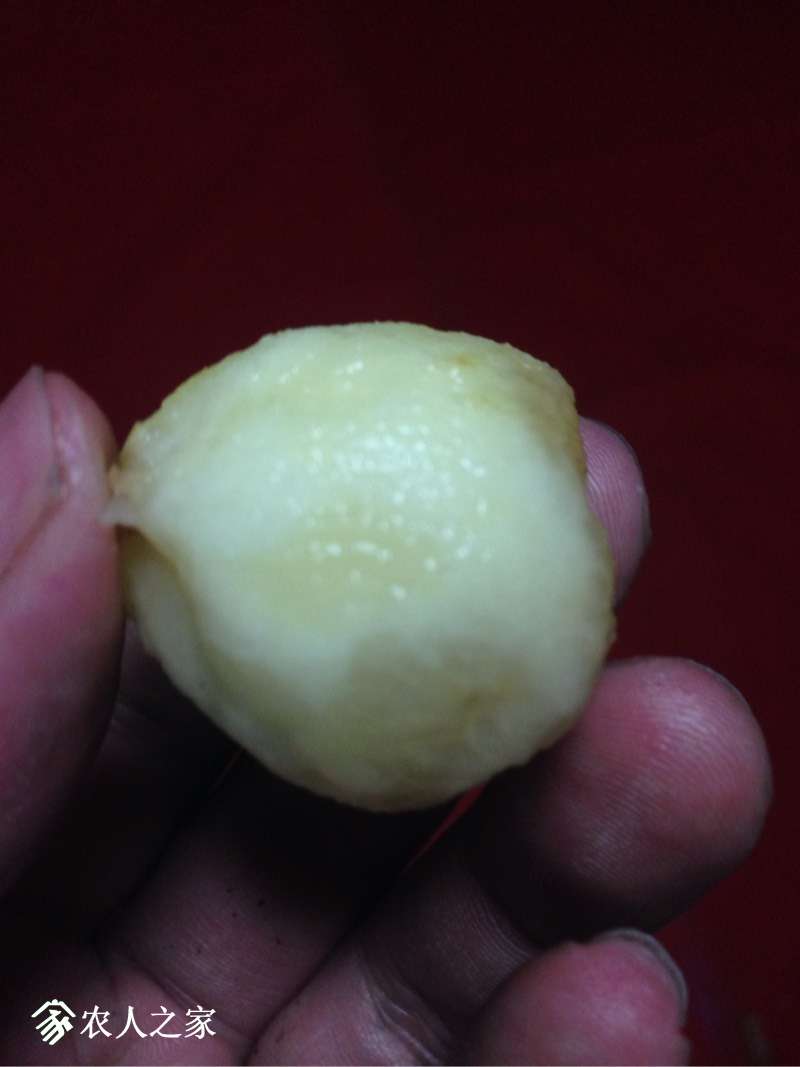 192206p3jjjjbxgjlltfat.jpg
