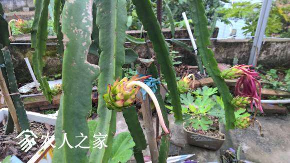 WP_20170510_08_15_50_Pro.jpg