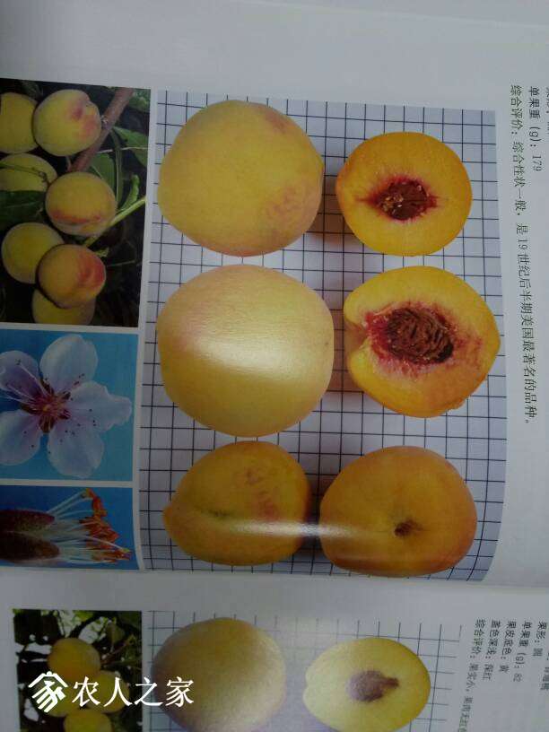 225719sgmkg370o1okao7g.jpg