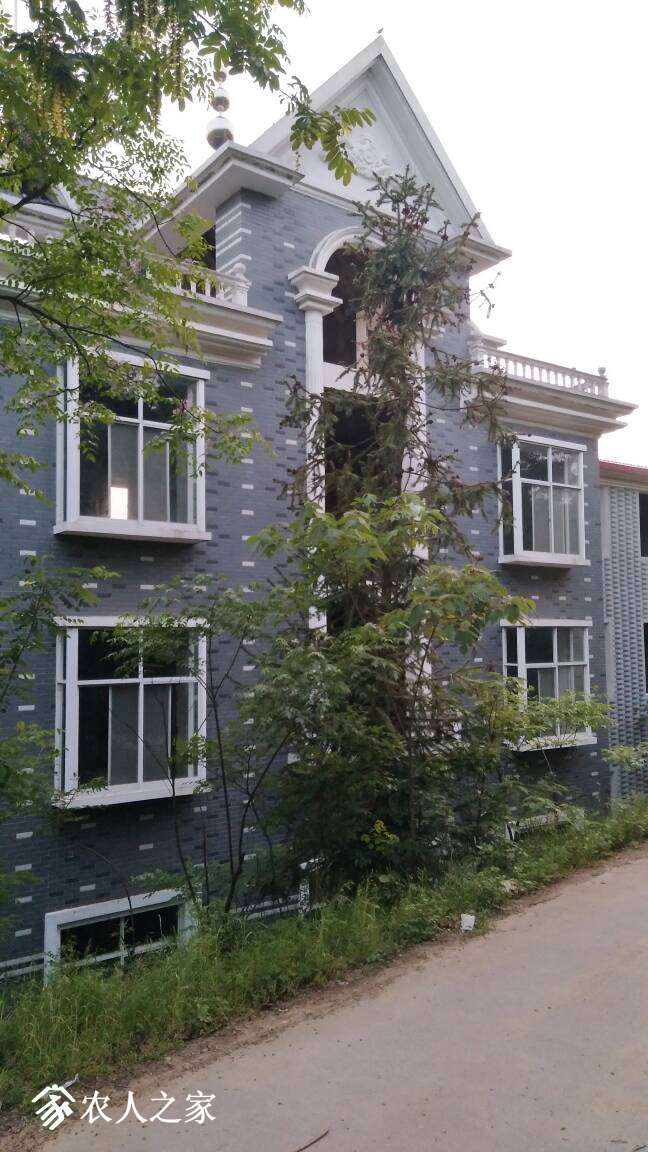 013420hkckkgjzu050kgjn.jpg