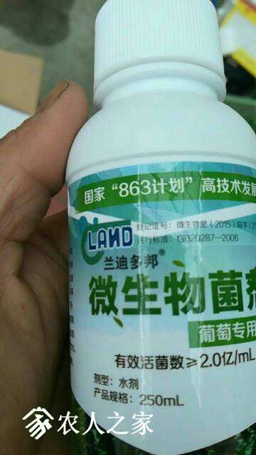 053525c3td5nonei15idde.jpg