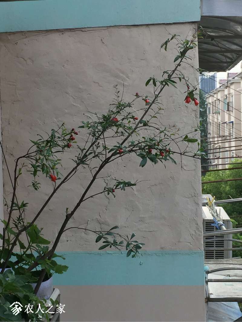 071956rwzytpqkm5wwwzjp.jpg