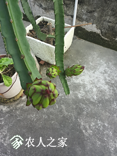 20170511_072332.jpg