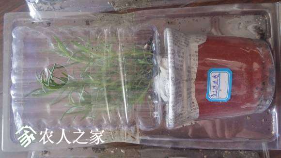 20170511_110741_HDR.jpg
