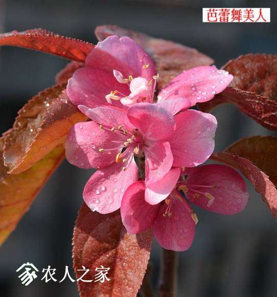 2013-02-22 059.jpg