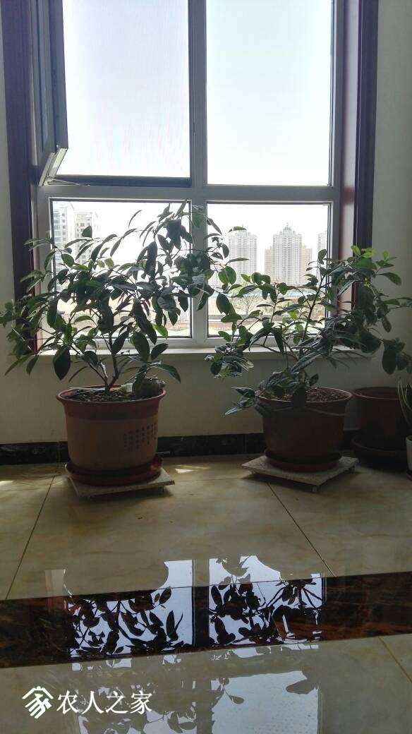 124409j9jadaiy7oakoboa.jpg
