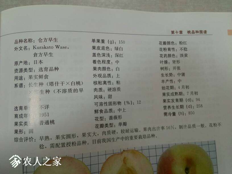 133921b24hcm0m1ghwwdh0.jpg